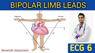 EKG  ECG  part 6 bipolar limbs leads electrocardiograph  cardiology 12 LEADS ECG [upl. by Wettam]