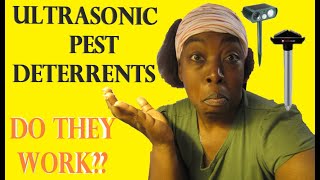 Solar Ultrasonic Pest Repellents  An honest review  arkansasgardening solar [upl. by Dawkins]