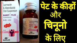 Bandy Plus Syrup Uses and Side Effects Hindi  Bandy Plus Syrup Benefits Hindi  Albendazole Syrup [upl. by Atekal]