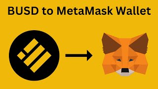 How to add Busd in Metamask [upl. by Akemaj942]