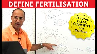 Fertilization Definition  Embryology [upl. by Conlon]