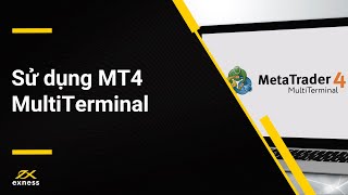 Cách sử dụng MT4 MultiTerminal [upl. by Elehcir]