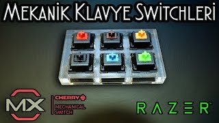 Cherry MX ve Razer Mekanik Klavye Switch  Hangi Switch Daha İyi Cherry MX Mechanical Switch Guide [upl. by Paynter]