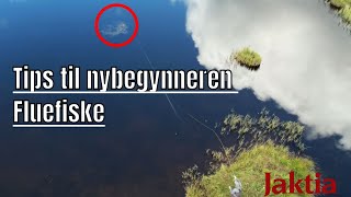 Fluefiske  tips nybegynner valg av fluer kroking og inntrekk av fisk [upl. by Ojillek]