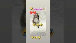 Taningh haigh koleti wou tu machine 🤣🤣🤣youtubeshorts viralvideo [upl. by Nyliram]