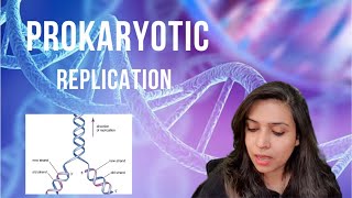 Prokaryotic Replication  leading amp lagging strands Okazaki fragments CSIR  PART 1 of the series [upl. by Ahseid]