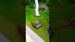 Cutting the grassi plate making beautiful grasscuting ytshorts lawncare [upl. by Yatnwahs]