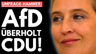 🔥PAUKENSCHLAG AfD ÜBERHOLT CDU WEIDEL BALD KANZLERIN MERZ KOCHT VOR WUT🔥 [upl. by Eartha]