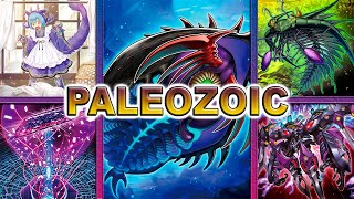 Paleozoic Deck 2024 EDOPRO [upl. by Weider383]