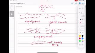 Motility Of Small Intestine Chapt 64 Guyton and Hall ft najeeb and Ninja Nerd [upl. by Bick338]