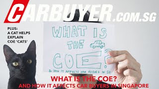 Explainer What Is a COE  Certificate of Entitlement  CarBuyer com sg [upl. by Sabelle]