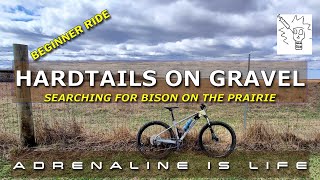 Gravel Biking on Hardtail Mountain Bikes with Beginners [upl. by Stodder235]