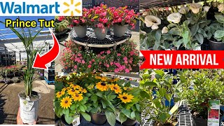 NEW WALMART FLOWERING SHRUBS TREES PERENNIALS TRELLISES Walmart Gardening Plants [upl. by Asilav676]