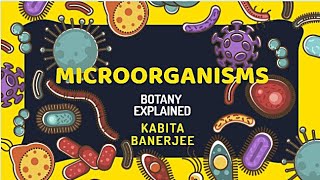 Mycoplasma in Hindi [upl. by Ebbarta]