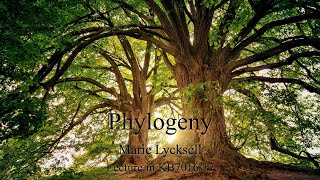 KB701617  Lecture  Phylogeny [upl. by Haldeman982]