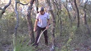 Shooting a Selfbow part 2  Gills Primitive Archery [upl. by Rickey]