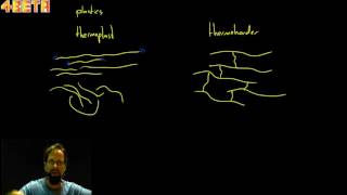 Thermoharder en thermoplast  basisuitleg [upl. by Ojyllek]