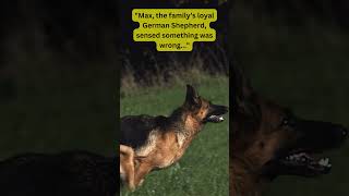 Hero German Shepherd Saves Baby from Fire 🐕🔥 True Rescue Story🐾 HeroDogDogRescueTrueStoryShorts [upl. by Aronoel761]