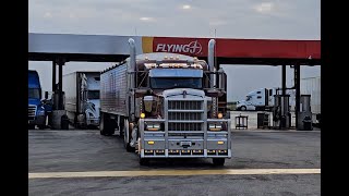 CUSTOM 2022 KENWORTH WITH A PORTRAIT VIEW DRAMATIZED [upl. by Assanav98]