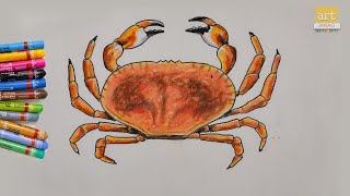 Crab Drawing II How to Draw Crab II Art JanaG [upl. by Anirroc]