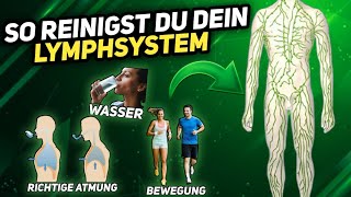 10 Tipps zur Reinigung des Lymphsystems [upl. by Naitirb]