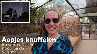 MONKEY PARK TENERIFE EN STARGAZING MET ASTROTOURS [upl. by Hafler]