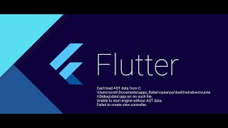 Cant load AOT data appso file not found flutter [upl. by Waxman]