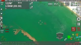 State police helicopter spots shark off Cape Cod [upl. by Danyette]