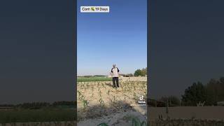 Hoverairsmart controlorbit kuwait camera farming agriculture peace entertainment enjoyusa [upl. by Esinev]