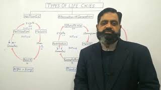 Alternation of generation in Plants NEET 2020  Haplontic Diplontic amp Haplo Diplontic Life Cycle [upl. by Naji]