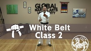 Shotokan Karate Follow Along Class  9th Kyu White Belt  Class 2 [upl. by Tayib]