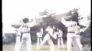 1980 Kukkiwon Taekwondo Promo Breaking  Kyukpa [upl. by Simah]