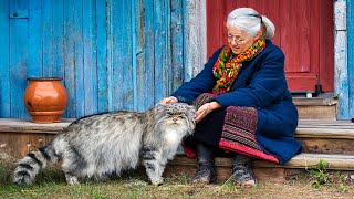 RARE WILD CAT Lives With Grandma What Scientists Discovered Will AMAZE You [upl. by Eartnoed988]