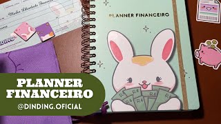 Planner Financeiro Dinding  Planeje seu orçamento e finanças facilmente com essa lindeza Fique Rica [upl. by Marvel]