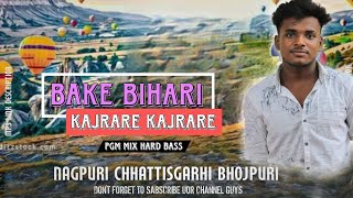 Bake Bihari X Kajrare Pgm Song Mix Hem Dj Zone Pasla [upl. by Onirefez]