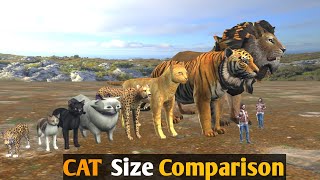 The Biggest Cat Lion 🦁 and Tiger 🐯 Size📏Comparison3D [upl. by Ayaros]