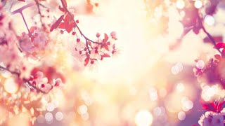 Relaxing Sleep Music • Soft Piano Music for Yoga Meditation Sleep and Relaxation 98 [upl. by Aivad265]