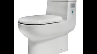 Dual Flush Toilet  One Piece White Bowl  EAGO TB351 [upl. by Fuhrman500]