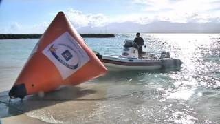 Route du Rhum  mesures de sécurité pour larrivée [upl. by Fredra]