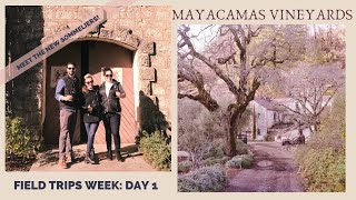 Field Trips Week DAY 1 MAYACAMAS VINEYARDS amp Meet the NEW SOMMS [upl. by Enehpets]