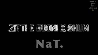 Zitti E Buoni x Shum audio edit [upl. by Ahsertal]