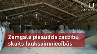 Zemgalē pieaudzis zādzību skaits lauksaimniecībās [upl. by Arezzini714]