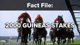 Fact File 2000 Guineas Stakes [upl. by Ezzo790]