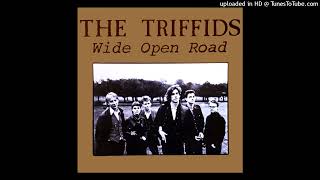 The Triffids  Wide open road [upl. by Smart]