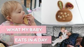 What My 10 Month Old Baby Eats In a Day [upl. by Annoek360]