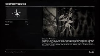 Red Dead Redemption 2 All 5 Night Scented Orchids Locations [upl. by Aicelf]