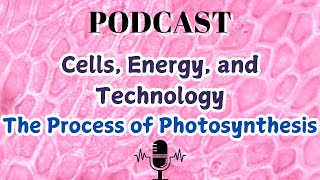 Cells Energy and Technology The Process of Photosynthesis [upl. by Keeryt244]