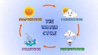 The Water Cycle How rain is formedLesson for kids [upl. by Bringhurst]