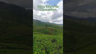 Golden Valley of Ceylon Tea 🌱 🇱🇰  Bogawantalawa  Pekoe trail 08 🌱🥀 [upl. by Nealy422]