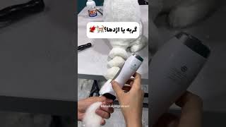 Pet grooming ✂️😍 pets cat pomeranian petshop animals grooming ترند [upl. by Klump]